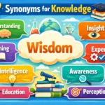 synonyms for knowledge