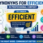 synonyms for efficient in professional context