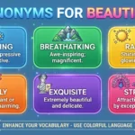 synonyms for beautiful