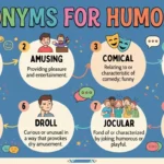 synonyms for humorous