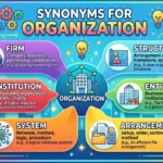 synonyms for organization