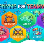 synonyms for teamwork